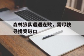 米乐-森林狼队阵容名单最新
