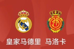 米乐-关于瓦伦西亚客场逆转马略卡继续西甲前四的信息