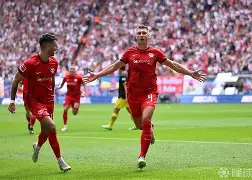 赛前揭秘！主帅战术布置大解密，球员阵容调整，功在当归？的简单介绍