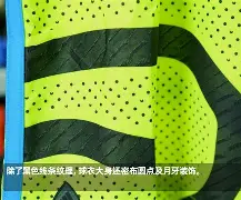 阿森纳关键时刻犯错，客场告负的简单介绍